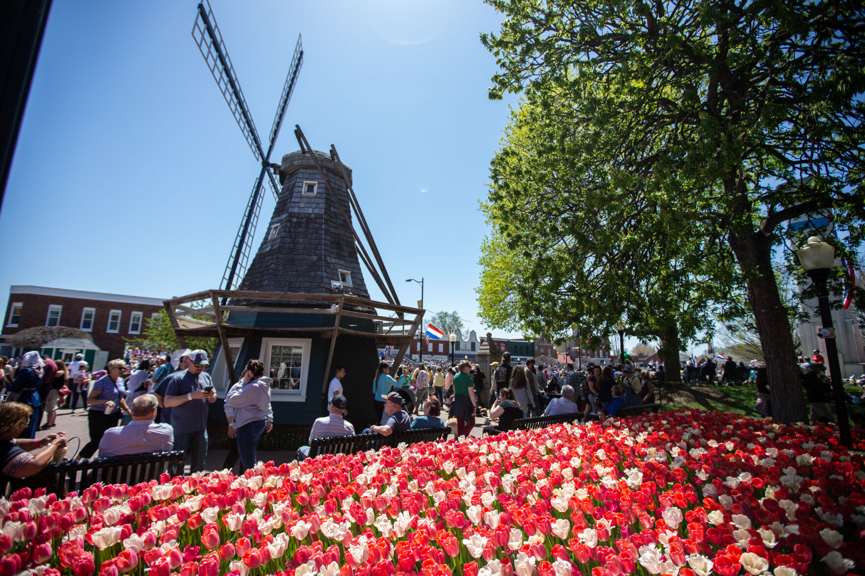 87th Pella Tulip Time
